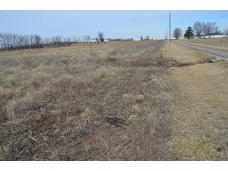 24 Grassland Acres - 20+/- Acres Wooded & 24+/- Acres Grassland, LAND AUCTION
